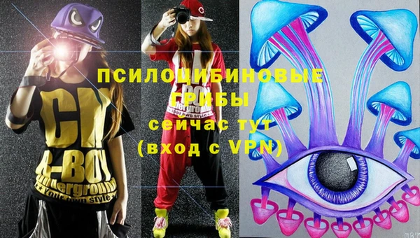 винт Абинск