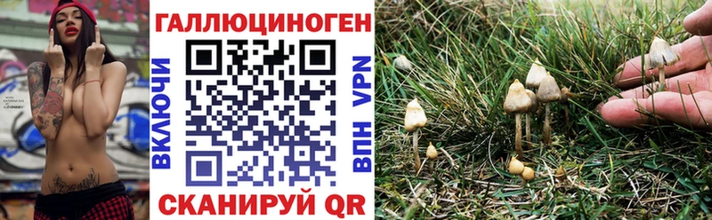 ссылка на мегу как зайти что такое Александров Галлюциногенные грибы прущие грибы